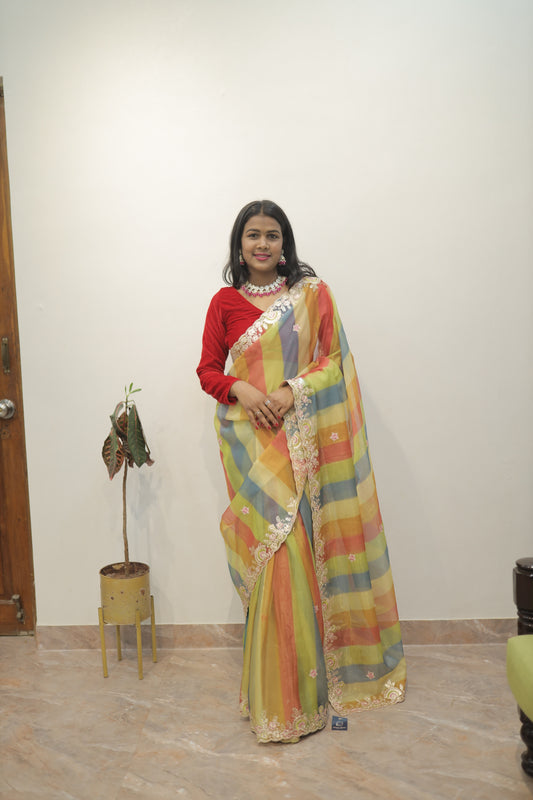 Pastel Multicolor Designer Semi Organza 🌈✨